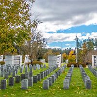 2022年月日历3月28日黄日历出来了吗?