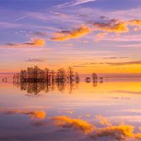 2022年月历3月22日牺牲祖先?