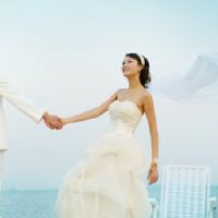 如何解决十二生肖