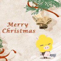 2022年的婚姻,最好的黄道带猪是第一个