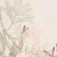 2022年犯太岁怎么化解 佩戴挂件解太岁