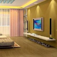 冯水摆水分析婚纱照片可以挂起客厅?