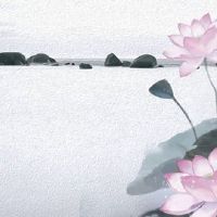 本命年属虎有什么讲究 家里摆放鱼缸给属虎人带来好运