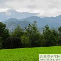 属狗和属猪八字硬不硬 适合婚配吗