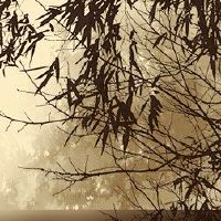 脾气暴发吗?这是最前面的