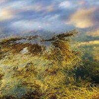 八个字符告诉你什么是丰富的