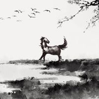 2022年12月的一个马的人继续上升