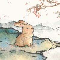 属于兔子的人202年12月,职业算命分析高低