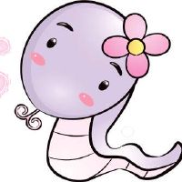 这是一个坠入爱河的蛇。