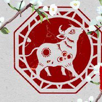 2022年哪些生肖财运好 收获钱财妥善打理