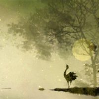 正月初五出生的人好吗 福禄深厚家庭关系融洽