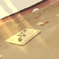 在2021年,五行的出生时间缺少金牛的命运。