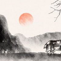 两个人都属于出生的宝宝,是好的吗?