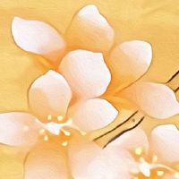 今日运势快报:2022年6月7日哪几个生肖为特吉生肖