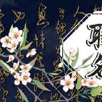 2022虎婴儿名叫100分最新漂亮的婴儿名字