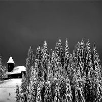 2022年3月24日月历如何牺牲祖先?这是一个牺牲吗?