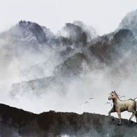 在2022年的情绪财富中,我应该注意什么?