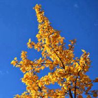 6月24日,2021名诞生男人的婴儿名字