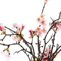 搬家买什么东西好兆头 搬家暖床气旺不息