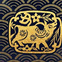 哪个生肖女最多男人爱 幸福美满感情顺利