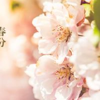 Equinox吃什么季节性食物? 2022 Equinox Solar术语吉祥图像吗?