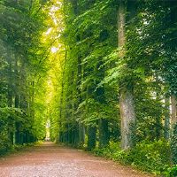 The name of the most popular Dolin's mutant girl, the characteristics of Dalin women's life