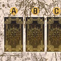 什么将“结婚”的爱情塔罗卡的未来?