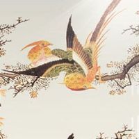 属相第一运程:2022年6月13日特吉生肖运势解说