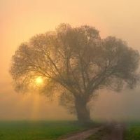 清明节与中部节的差异,在2022年清明节的日子?