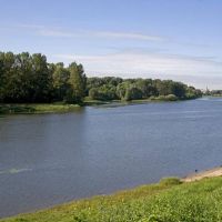 鸡男孩出生于5月的鸡男孩是什么?