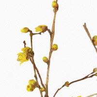 搬家都拿什么算是正式搬家 搬家开火红红火火