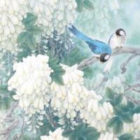 正月十一打碎杯子是什么预兆 说吉话可有效化解