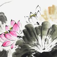 鼠和鼠的属相合不合 五行乃比和关系