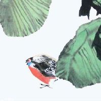 牛和猪在一起对谁不利 双方可坦率相处