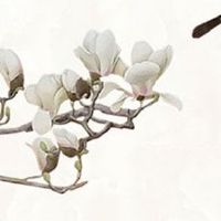 女儿出嫁闺房谁来铺床 全福人铺床大吉大利