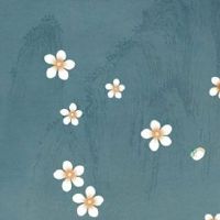 属虎结婚最忌讳的属相 属相相冲化解办法