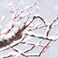 什么时候是幸运的钱?