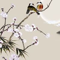 五行穿衣分享:2022年3月12日植树节穿什么颜色提运