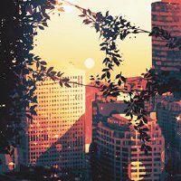 淘宝商店花茶名称大全湘云名称