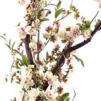 1962年虎和1978年马相配吗 婚配属于中吉