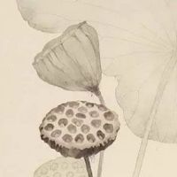 岁火为何不能熄灭 祈祷新的一年红红火火