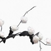 搬家需要准备什么东西吉利 搬家暖房气息旺