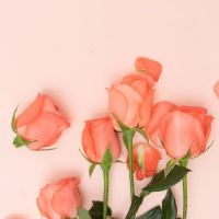 她将在2019年7月16日出生的男孩的名字是什么,她将在生活中受益。