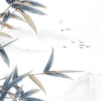 男人十个斗代表什么 十个斗的男人中年事业上升