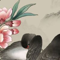 双手无斗什么命 手上无斗的人婚姻美满