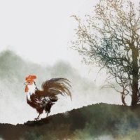 两个人都是一个可以成为鸡的婴儿?