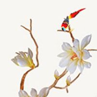 金命不能做的行业 结合个性选择转运福禄无忧