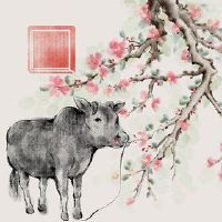 这是一个看涨的202222,这是第一天的第一个至十五岁,众神的众神在哪里