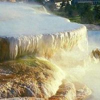 今年五个要素的生活和命运是什么?