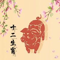 属猪人几点出生好 申时出生一生幸福安康